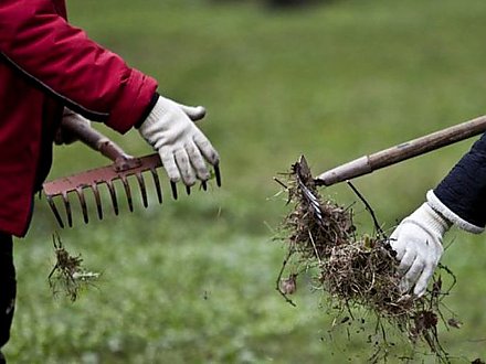 Чисто не там, где убирают, а где не мусорят