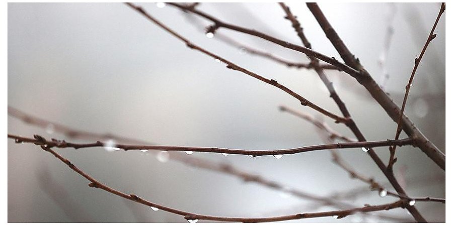 МЧС озвучило рекомендации для граждан по передвижению в туман