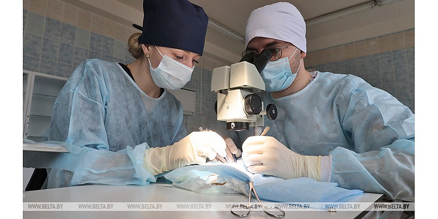 Более 100 студентов Беларуси и России соберет в Витебске олимпиада по хирургии