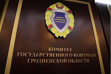 КГК: Проблемные вопросы приобретения населением деловой древесины