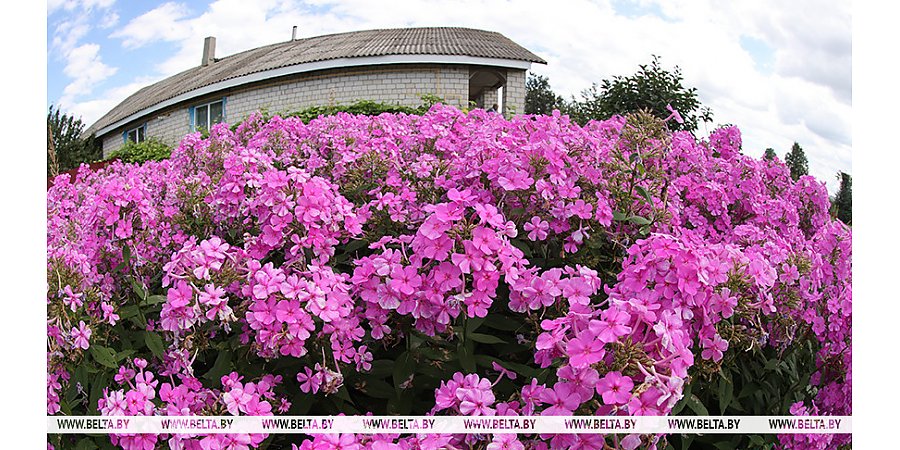 Теплая погода с дождями и грозами ожидается сегодня в Беларуси