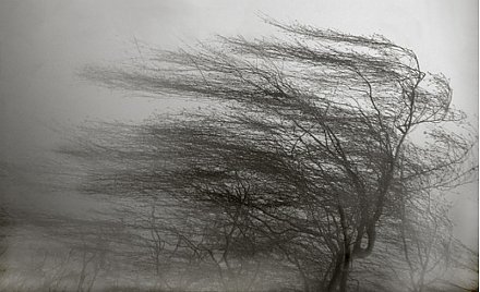 Оранжевый уровень опасности объявлен в Беларуси 22 февраля из-за сильного ветра