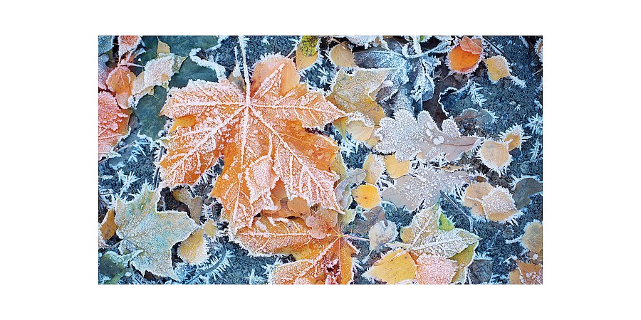 Приметы на 23 ноября 2025: что нельзя делать на Ледолом