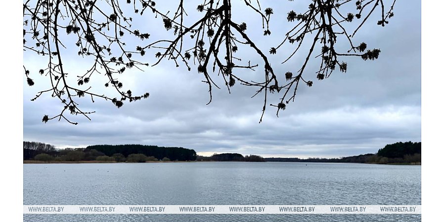 Где в Беларуси сегодня будет теплее всего, рассказали синоптики