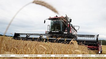 В Беларуси намолотили свыше 9,1 млн тонн зерна