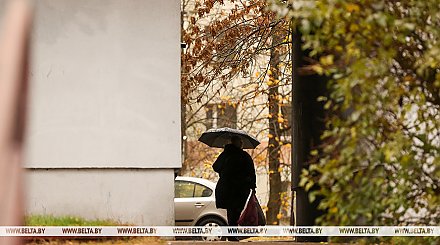 Небольшие дожди и до +13°С. Синоптики рассказали о погоде в Беларуси 1 ноября