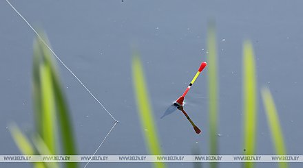 В Беларуси с 1 октября будет введен запрет на лов всех видов рыб на зимовальных ямах