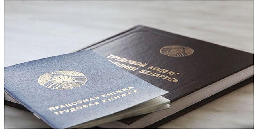 Диспансеризация, отпуска, графики: изменения в Трудовом кодексе разъяснили представители Минтруда