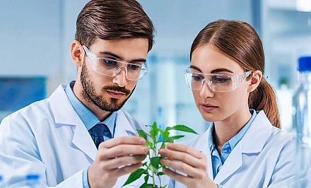 Ярмарка инновационных разработок в сфере агротехнологий пройдет в августе в Гродно