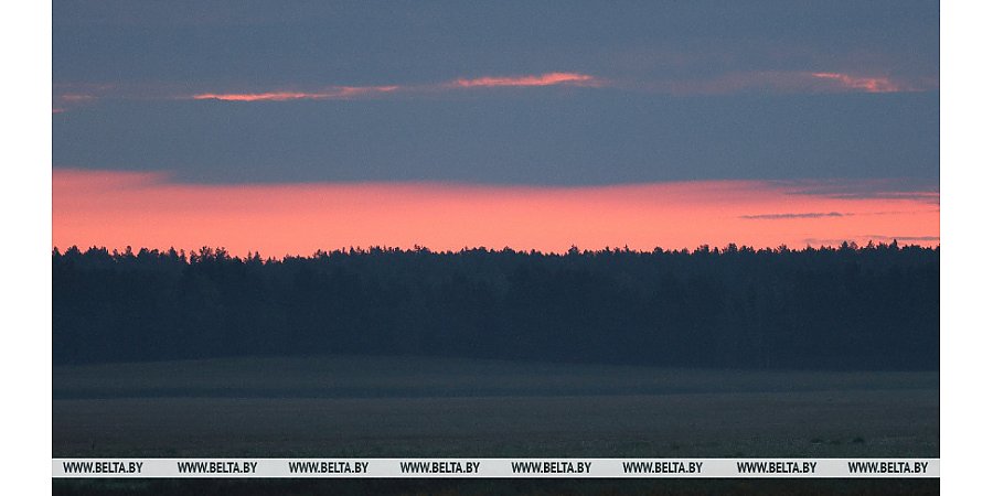 Облачно и с дождями. Какой будет погода в Беларуси 5 октября