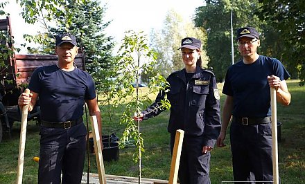 Следователи Гродненщины пополнили памятную аллею в Коложском парке новыми деревьями