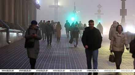 Правительство утвердило программу статистических работ на 2026 год