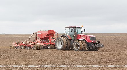 Сев озимых зерновых завершается в Беларуси