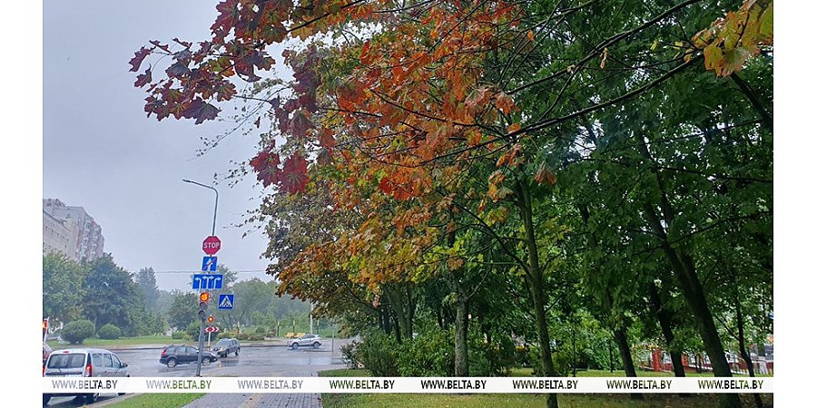 Месячная норма за две недели: климатологи назвали самые дождливые города августа 