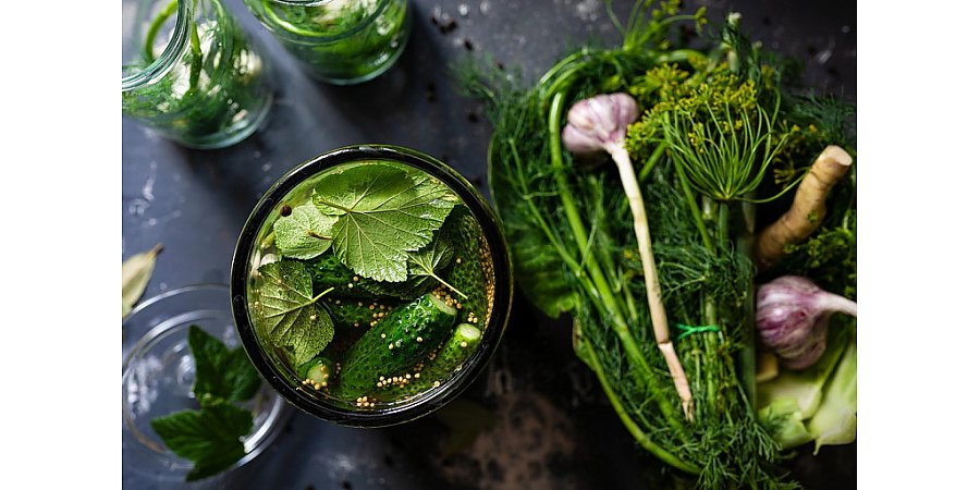 Секрет хрустящих огурцов на зиму: проверенный рецепт с хитростями