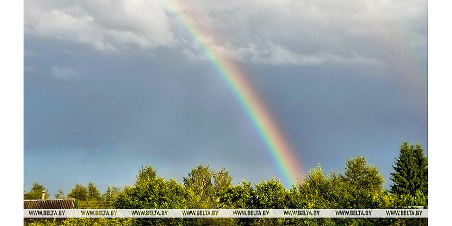 До +26°С и грозы по юго-западу. Какой будет погода в Беларуси 9 сентября