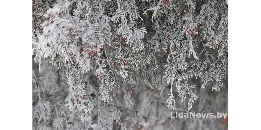 Календарь праздников и дат с 8 по 27 февраля