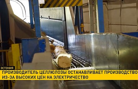 Эстонский производитель целлюлозы останавливает производство из-за высоких цен на электричество