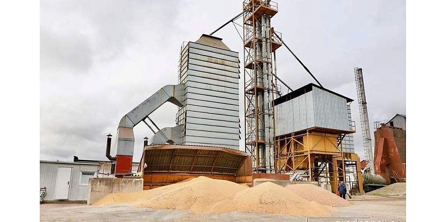 В Гродненской области близится к концу уборочная кампания. Валовый сбор зерна в регионе уже составляет более 2 миллионов тонн