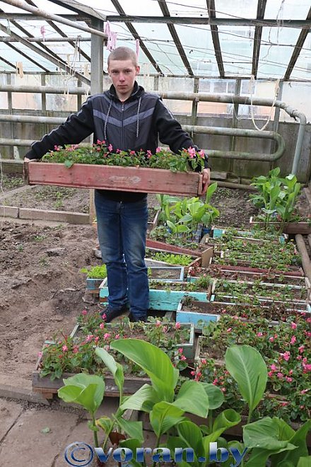 Школьный «агробизнес»