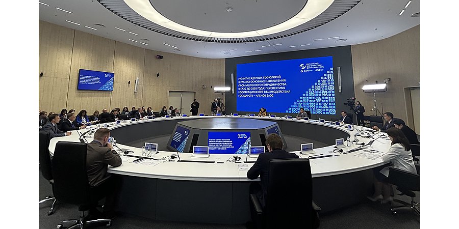 «Росатом» и страны ЕАЭС обсудили кооперацию в энергетике, науке и медицине