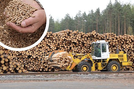 Хозяйский подход во всем. Почему Беларуси важно развивать деревообработку и производство пеллет