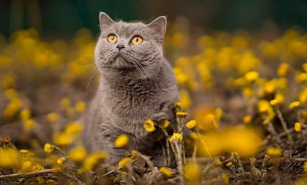 Очень тепло и слабый туман. Какой будет погода в выходные?