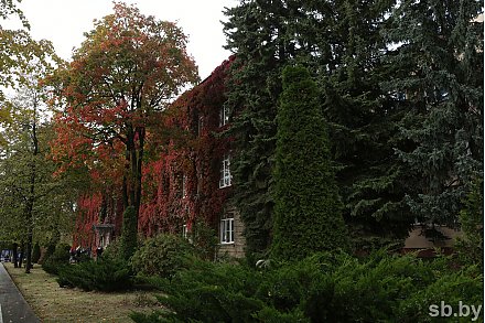 Погода в Беларуси в выходные: кратковременные дожди и от +1 °С ночью до +15 °С днем