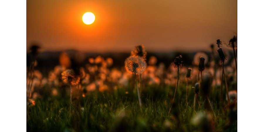 Народный календарь на 24 июля 2025 года: что можно и нельзя делать, приметы и праздники