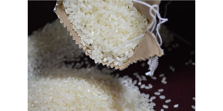 Вред риса и его негативное влияние на здоровье: правда и мифы