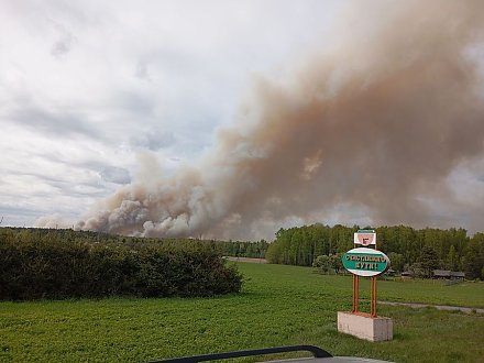 Лесной пожар в Вороновском районе ликвидирован. На месте работает областная комиссия по ликвидации ЧС