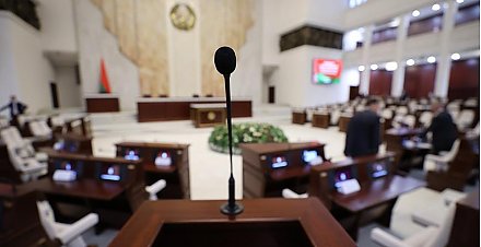 Александр Лукашенко принял предложение парламентариев - Эйсмонт раскрыла подробности предстоящей встречи в Овальном зале