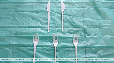МАРТ предлагает запретить одноразовые пластиковые вилки, ложки и ножи в общепите с 2021 года
