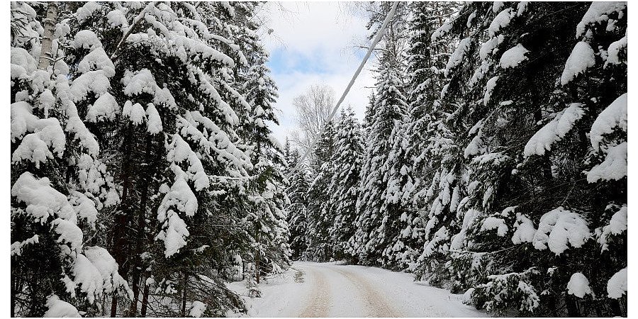 Дмитрий Рябов: зима еще порадует белорусов снегом
