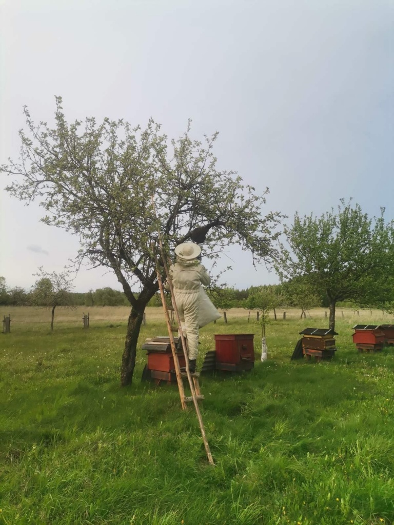 изображение_viber_2025-05-22_14-54-49-726.jpg изображение_viber_2025-05-22_14-54-49-726.jpg