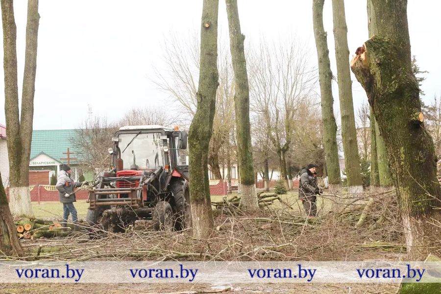 изображение_viber_2023-03-14_14-33-12-037.jpg изображение_viber_2023-03-14_14-33-12-037.jpg