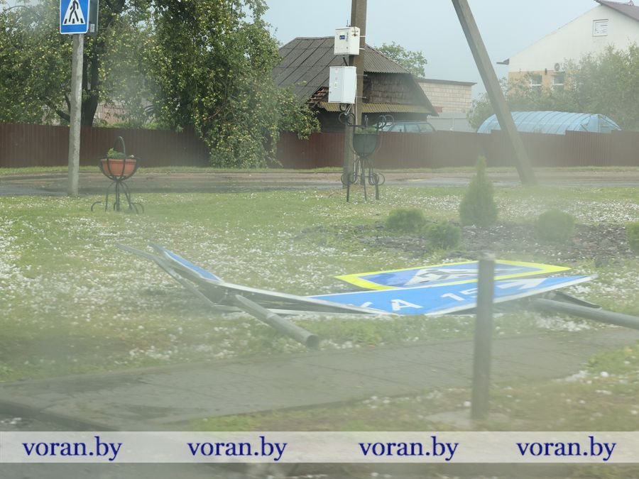 2F1A9505.JPG