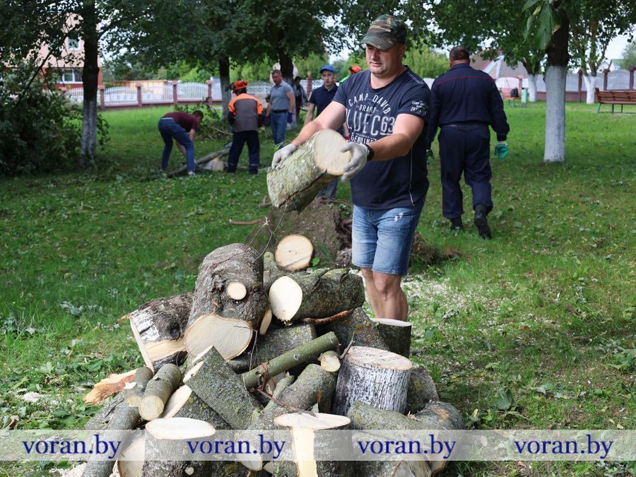2F1A0912.JPG