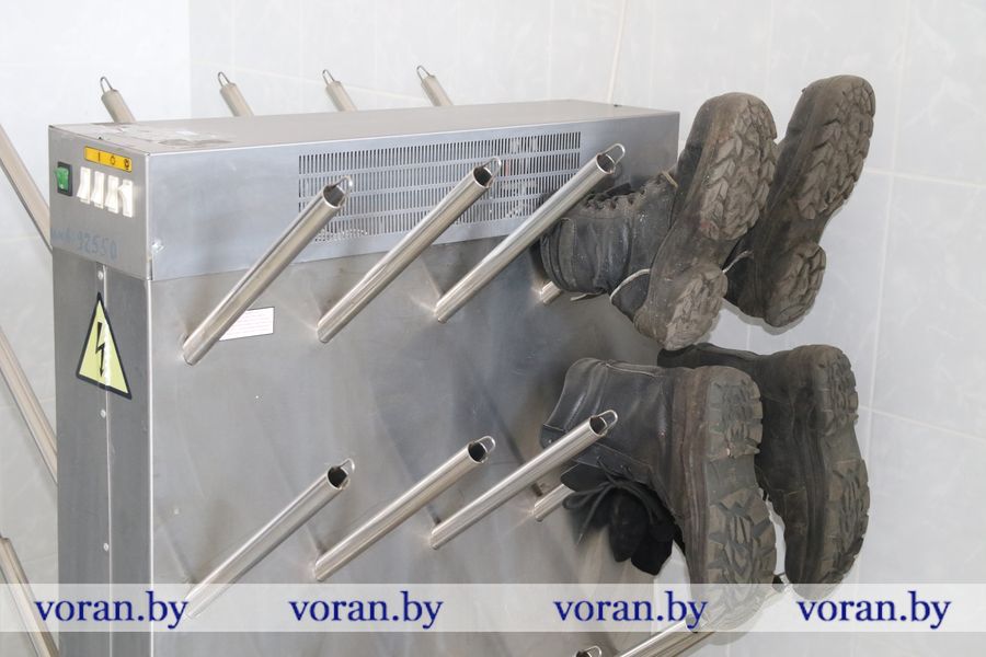 1C9A6132.JPG