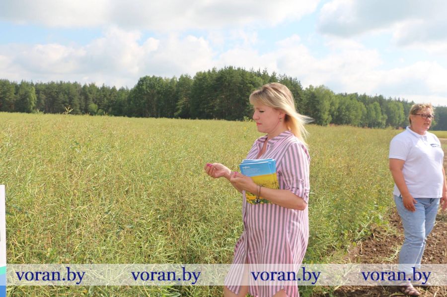 изображение_viber_2023-06-30_14-48-57-130.jpg изображение_viber_2023-06-30_14-48-57-130.jpg