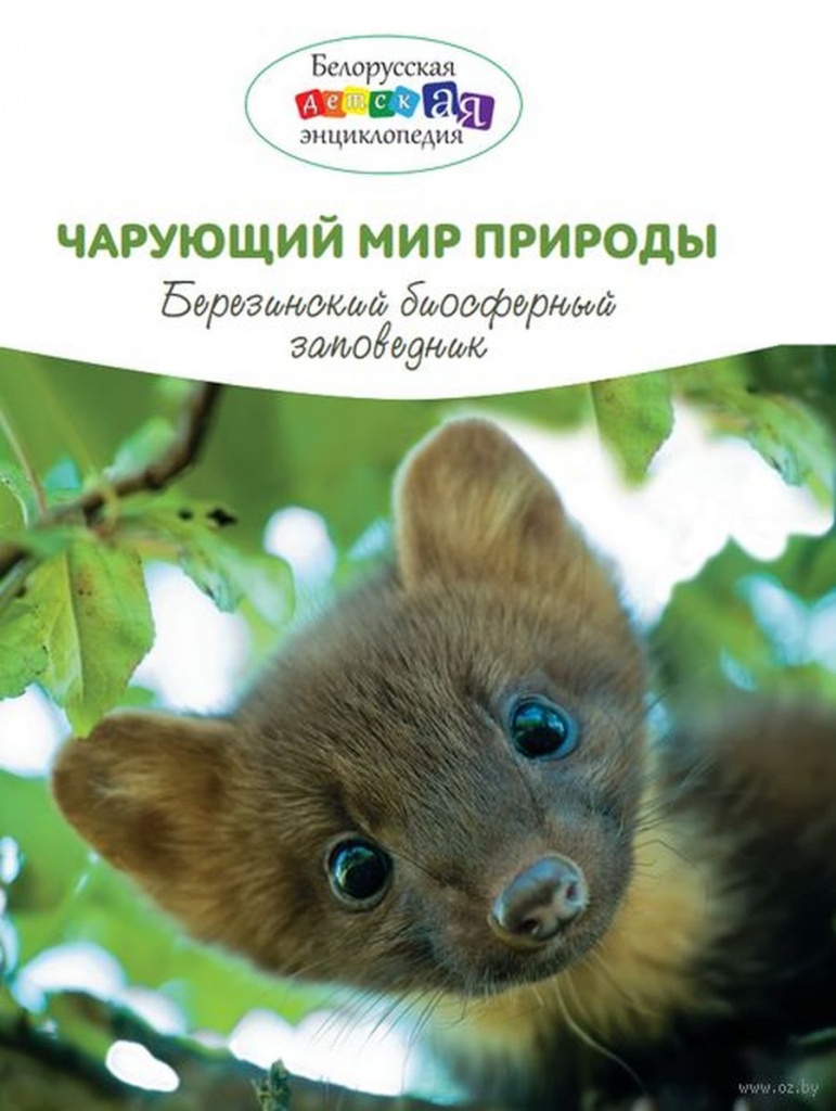 чарующий мир природы.jpg чарующий мир природы.jpg