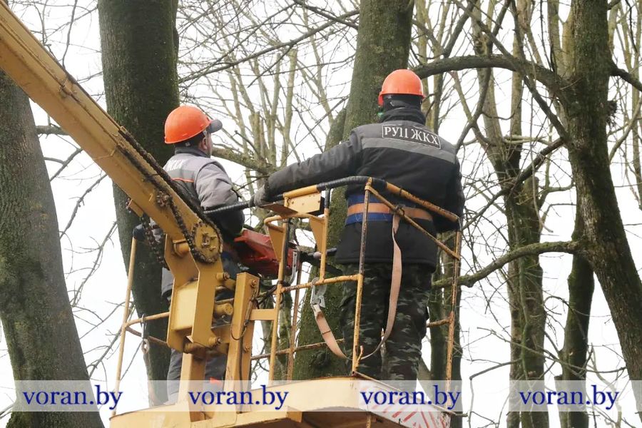 изображение_viber_2023-03-14_14-33-12-002.jpg изображение_viber_2023-03-14_14-33-12-002.jpg