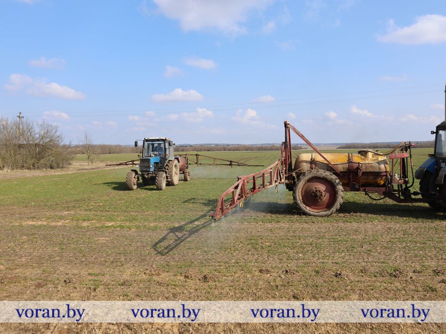 2F1A8396.JPG