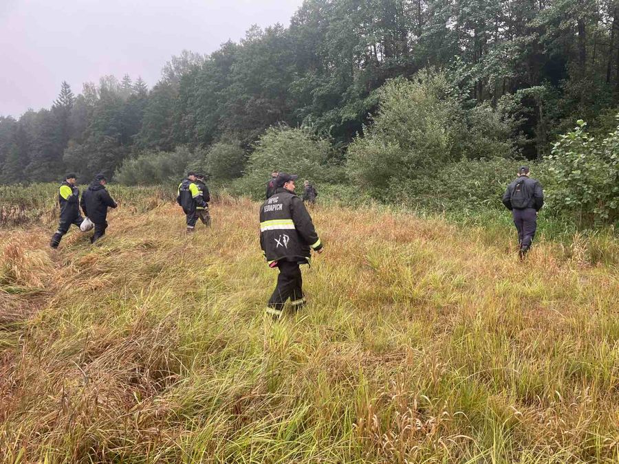 изображение_viber_2025-09-15_16-29-21-004.jpg изображение_viber_2025-09-15_16-29-21-004.jpg