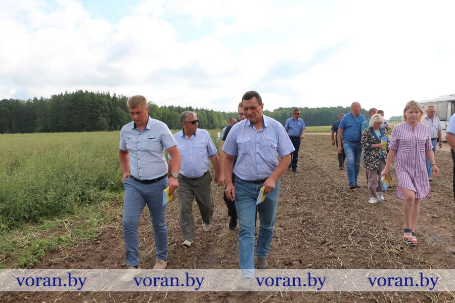 изображение_viber_2023-06-30_14-49-36-143.jpg изображение_viber_2023-06-30_14-49-36-143.jpg