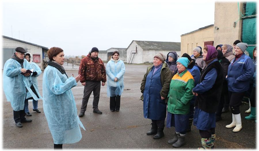 image033.jpg image033.jpg