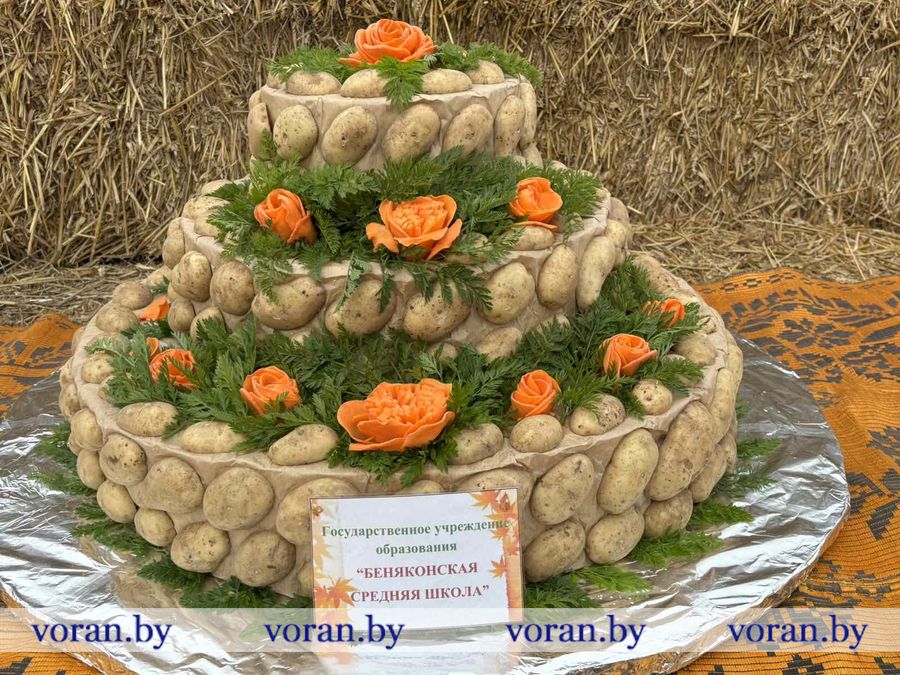 изображение_viber_2025-09-27_17-25-44-794.jpg изображение_viber_2025-09-27_17-25-44-794.jpg