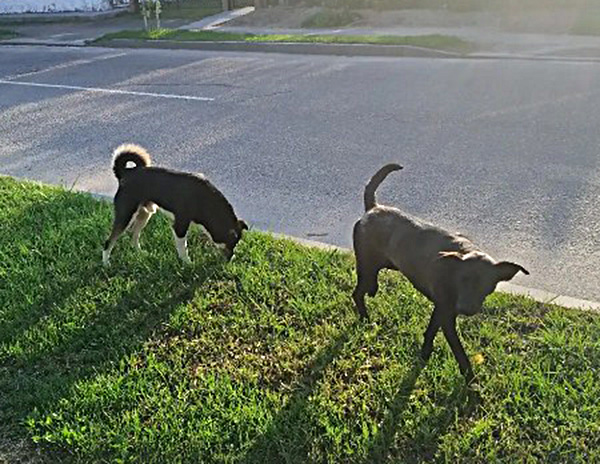 Screenshot_1.jpg Screenshot_1.jpg