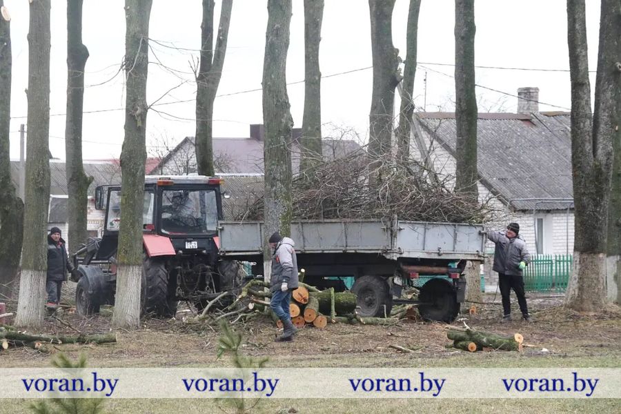 изображение_viber_2023-03-14_14-33-01-760.jpg изображение_viber_2023-03-14_14-33-01-760.jpg