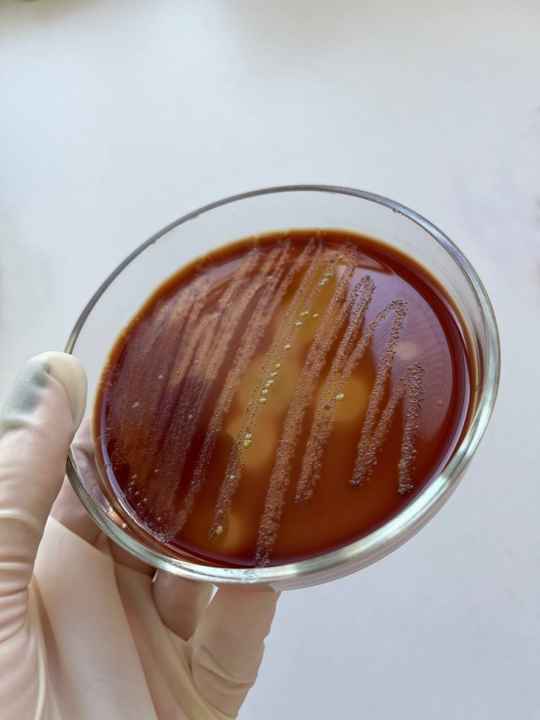 photo_2024-10-31_10-29-20.jpg photo_2024-10-31_10-29-20.jpg